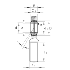桿端軸承 GAL60-DO-2RS, 根據 DIN ISO 12 240-4 標準，帶左旋外螺紋，需維護，兩側唇密封